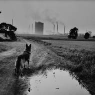 Viktor Kolář - Ostrava (1975)