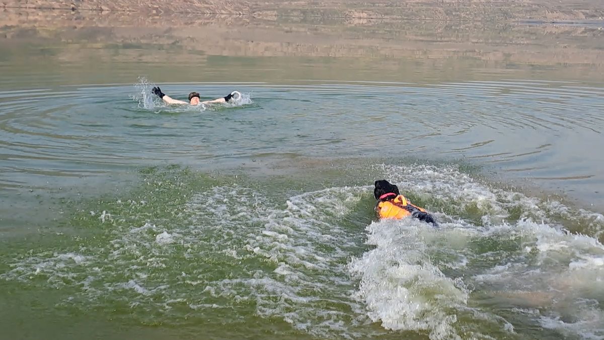 Kynologové cvičili záchranu osob v prostředí uhelného lomu na Mostecku