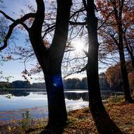 Břehy rybníků u Staré Hlíny