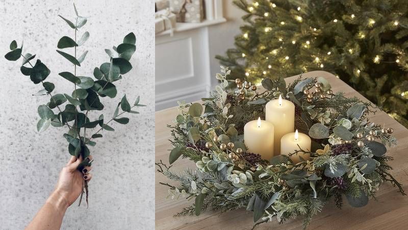 Vkusné a trendy vánoční dekorace jsou letos i z eukalyptu
