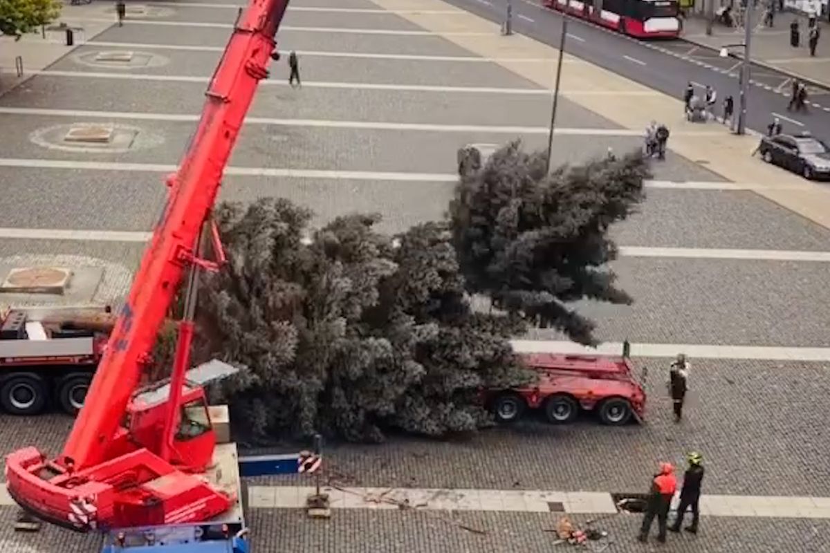 Vánočnímu stromu v Ústí se při instalaci ulomila špička