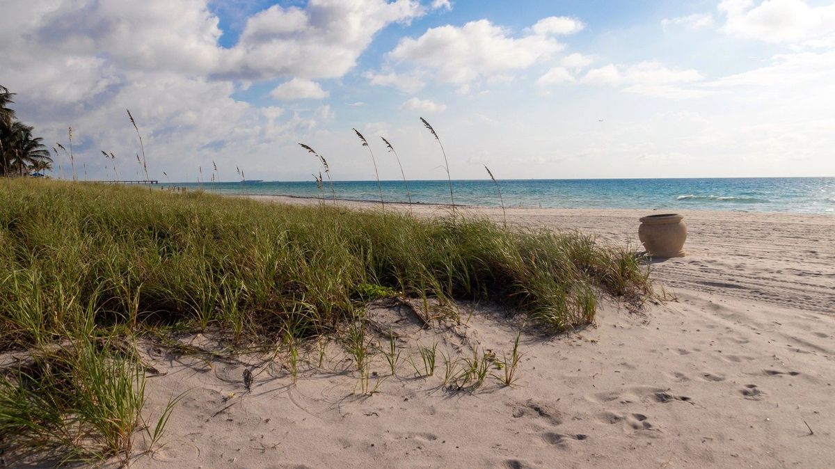 Policie na Floridě zatkla na pláži šest nudistů kvůli koupání bez plavek. Většinou šlo o seniory