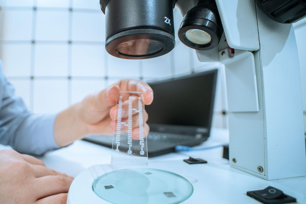 Umělá inteligence má pomoci omezit testy na zvířatech