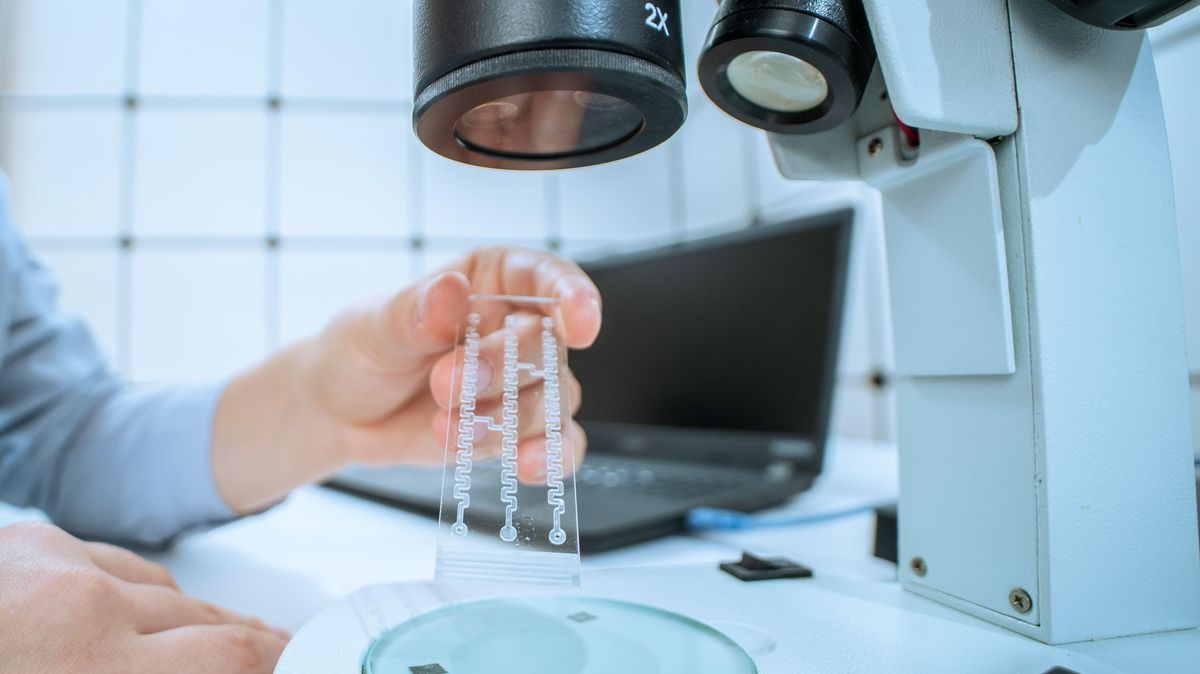 Umělá inteligence má pomoci omezit testy na zvířatech