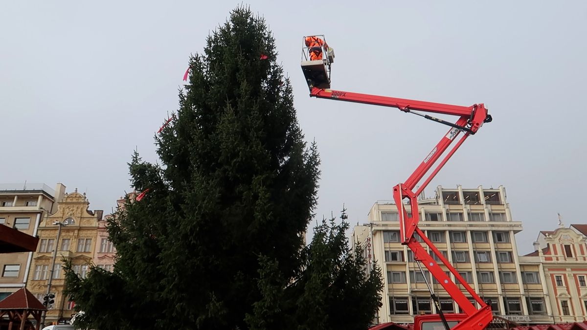 Plzeňské náměstí už zdobí vánoční strom. Přicestoval ze Stodu