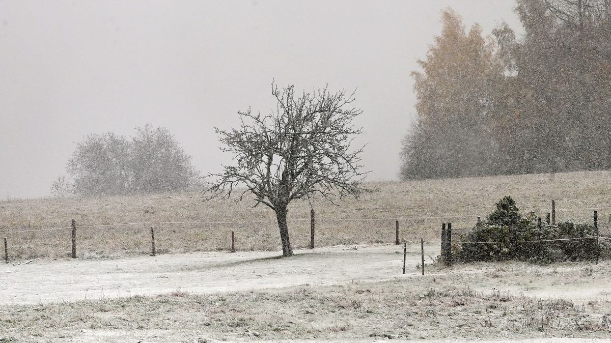 Zima se hlásí o slovo. Bude sněžit i v nížinách