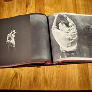 Publikace obsahuje fotografie od profesionálů i od samotných návštěvníků koncertu.