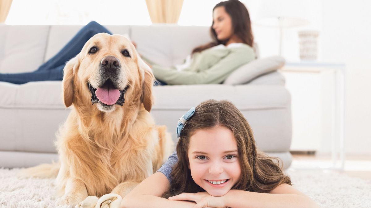 Když spolu bydlí lidé, pes a kočka