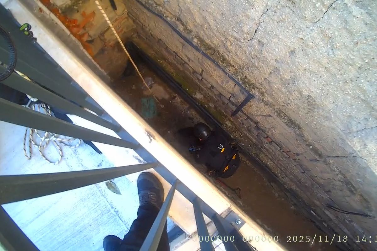 Koťátko v nesnázích zaměstnalo brněnské strážníky. Do pětimetrové hloubky za ním museli slanit