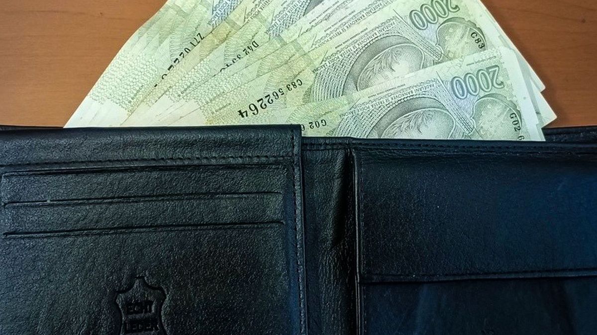 Ukrajinec našel v Plzni peněženku naditou penězi. Předal ji strážníkům