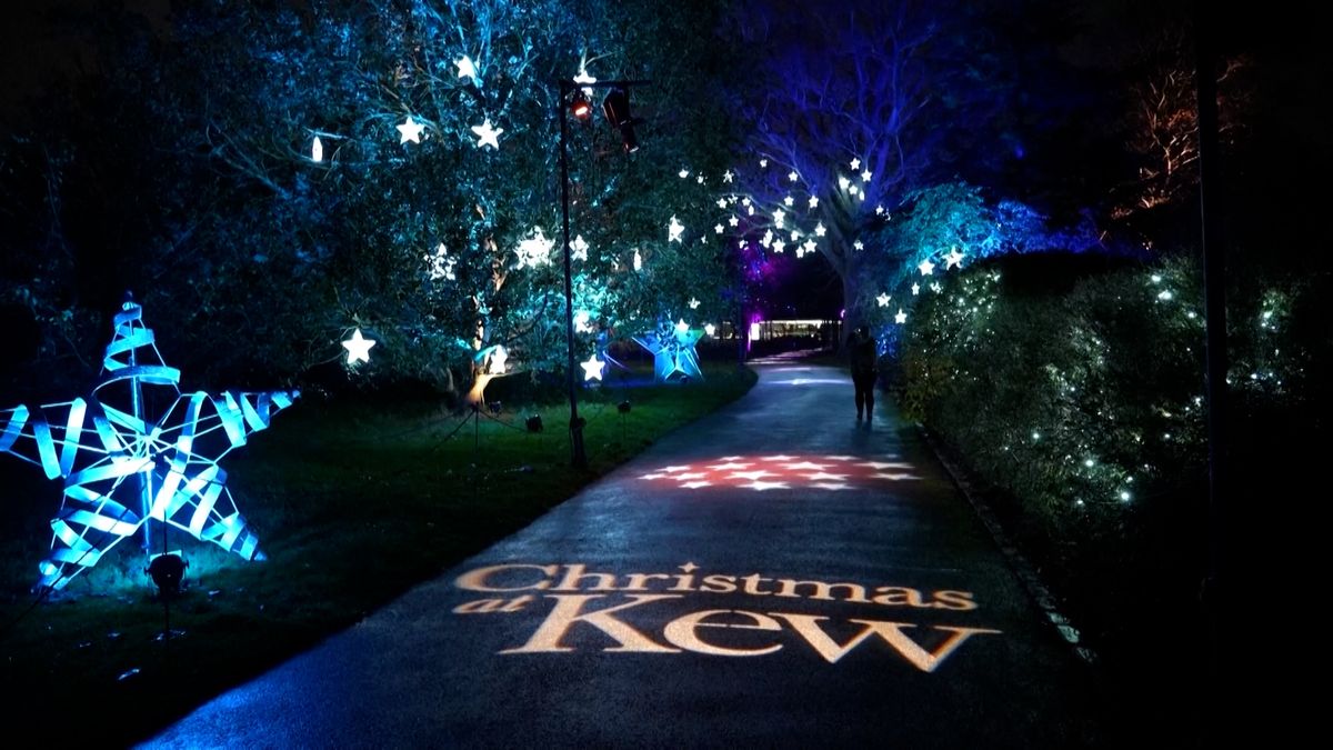 Královské botanické zahrady v Londýně se zahalily do vánočních světel