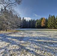 Rybáře při jednom z posledních výlovů podzimní sezony provázel šestistupňový mráz.