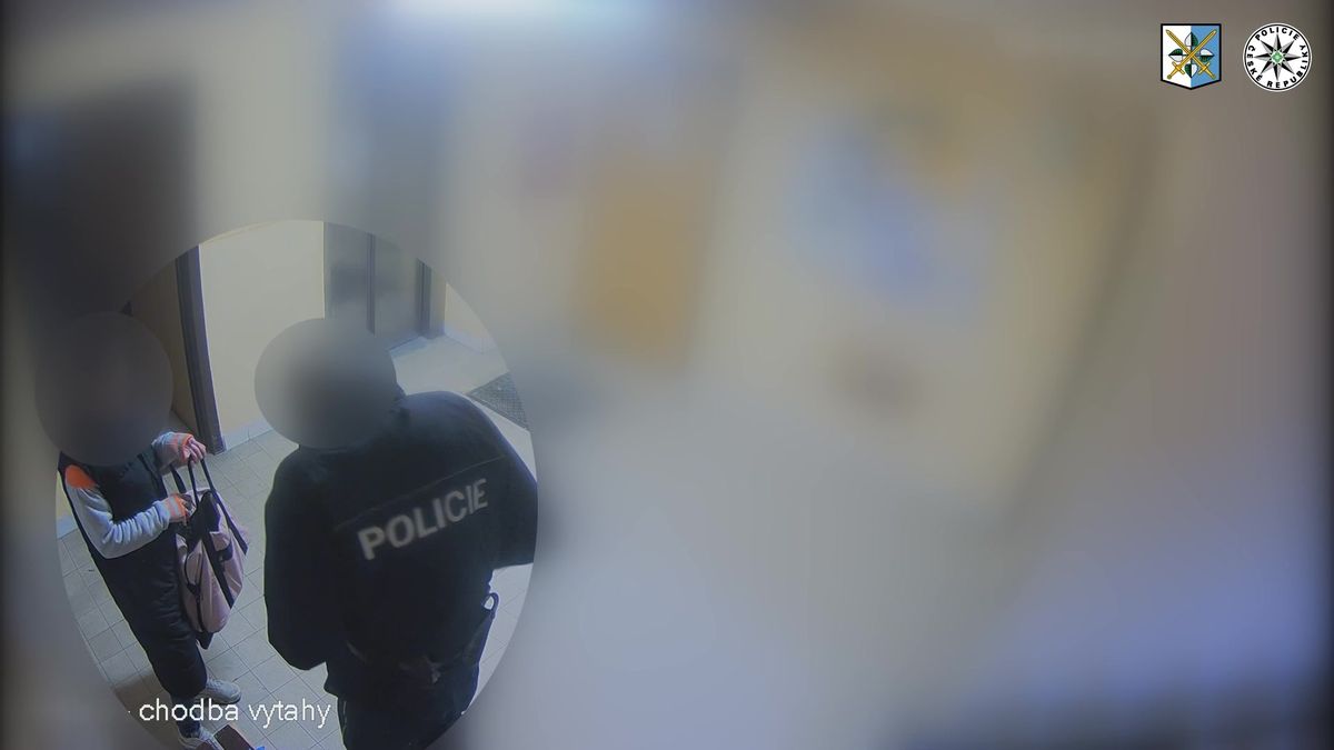 Šokující případ z Ostravy. Zloděj čtyřikrát po sobě okradl vozíčkářku, pomáhal mu falešný policista