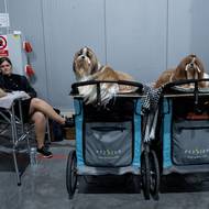 Účastníci soutěží čekají na vystoupení před porotci.