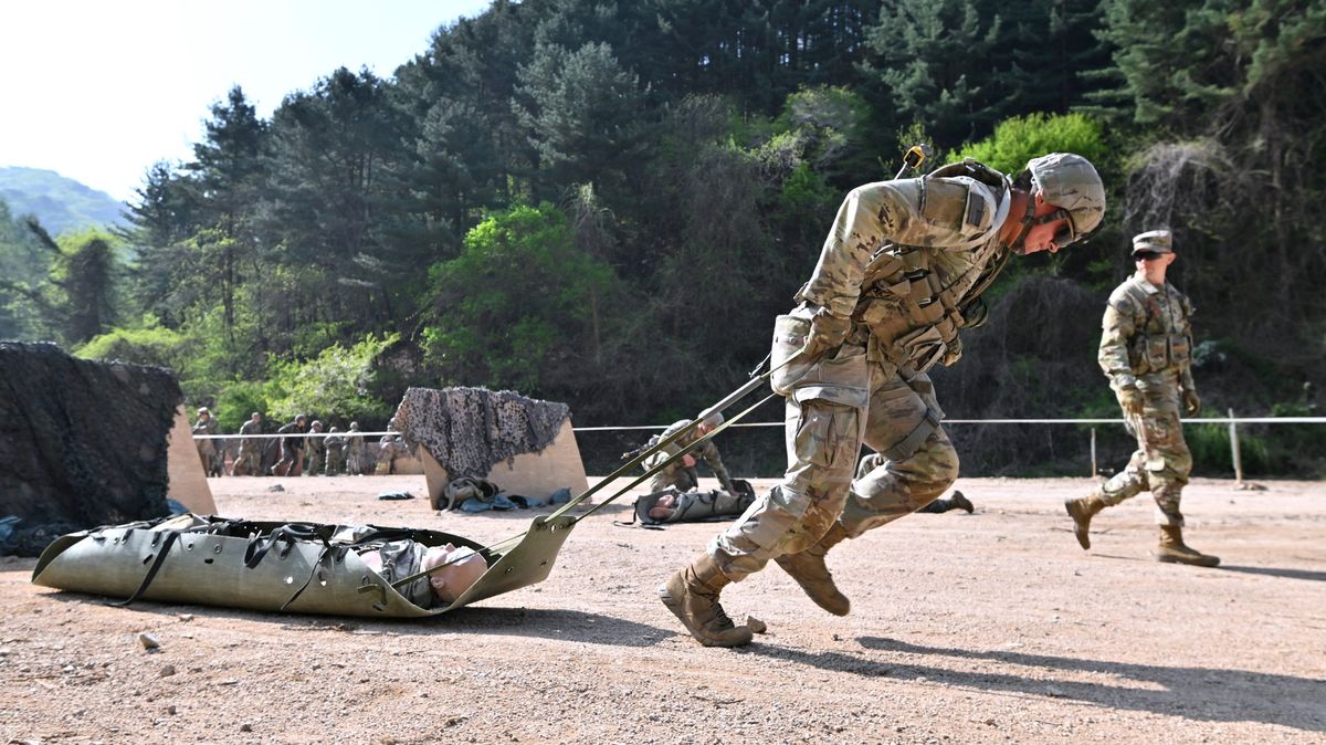 Americká armáda přestane v rámci výcviku zdravotníků střílet zvířata