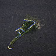 Jedna za květin, kterými vesničané ze vsi Veliki Lazy vyzdobili cestu k rodnému domu Ivana Dovhanyče a vyprovázeli ho tak symbolicky na jeho poslední cestu. 