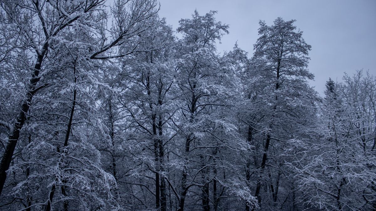 Přijdou mrazivé teploty, sníh a vítr