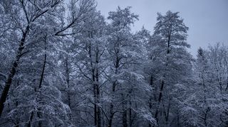 Přijdou mrazivé teploty, sníh a vítr