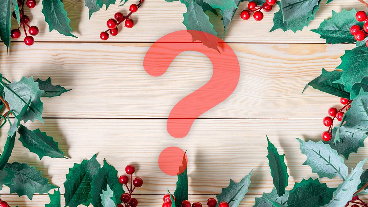 KVÍZ: Jak dobře znáte rostliny spjaté s Vánocemi?
