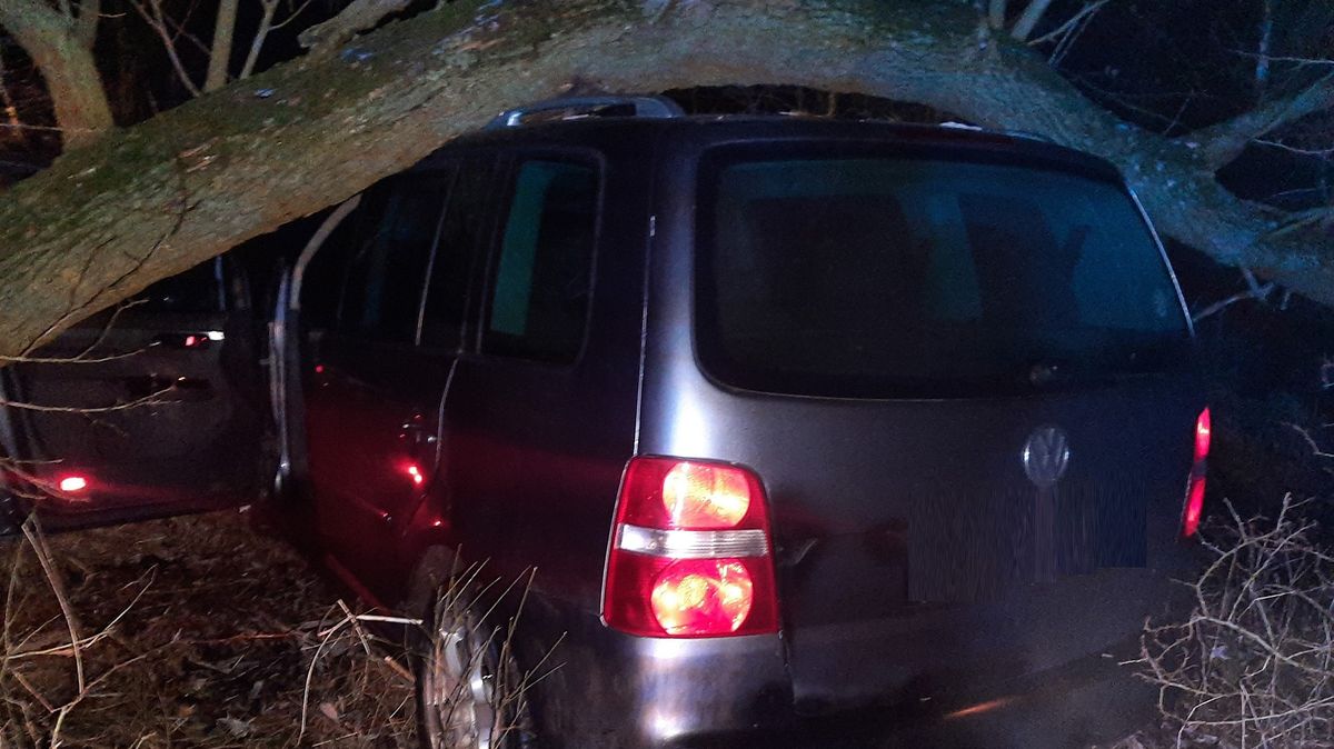 Celostátně hledaný muž napadl na Jihlavsku expřítelkyni, na útěku před policií ho zastavil strom