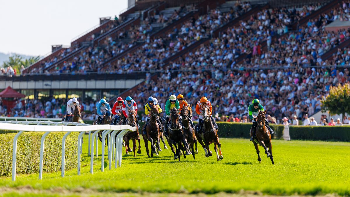 Konec nejistoty. Koně ve 120. dostihové sezoně v pražské Chuchli poběží