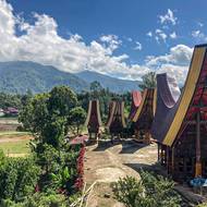 Tradiční torajské domy tongkonan s charakteristickou obloukovitou střechou ve tvaru lodního trupu. 