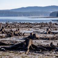 Nachází se u cesty mezi Kyselovem a Frýdavou.