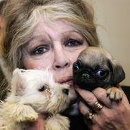 Se zabavenými štěňaty nelegálně převáženými z Maďarska v roce 2005.