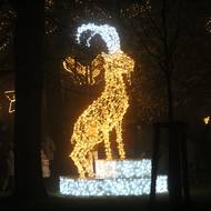 Jedním z nepřehlédnutelných prvků na Hrádku je kozoroh.