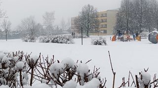 Sníh a silný vítr. Do Česka dorazí zima se vším všudy