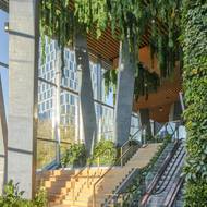 Vstupní hala je plná zákoutí, do kterých proudí denní světlo: vhodné jak pro lidi, tak pro všudypřítomné rostliny.