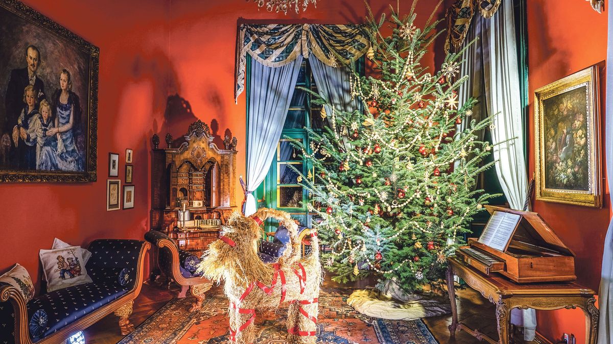 Strom zelený, život věčný aneb Historie vánočního stromku