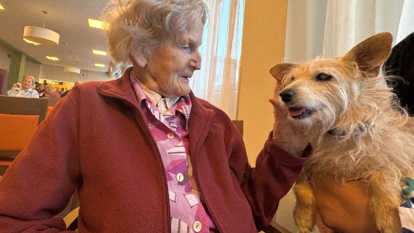 Slepá psí důchodkyně se stará o seniory