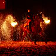 Koně se na představení připravovali dlouhé měsíce.