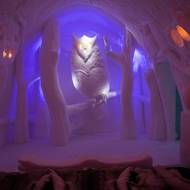 Na hosty budou v jednom apartmá dohlížet sovy.