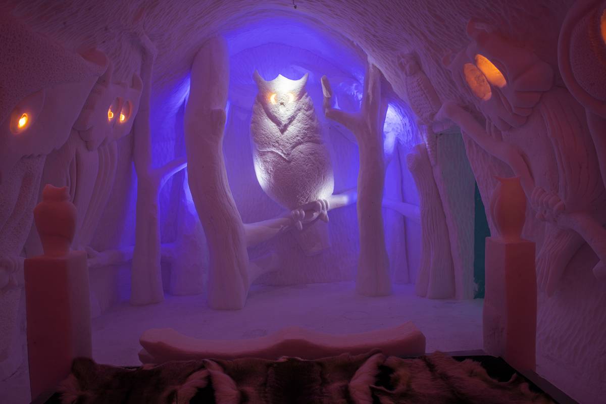 Na hosty budou v jednom apartmá dohlížet sovy.