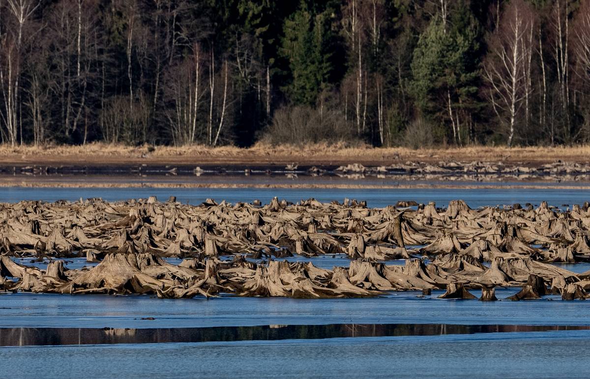 Rakovská zátoka zasahuje za vysokého stavu hladiny až na území Rakouska.