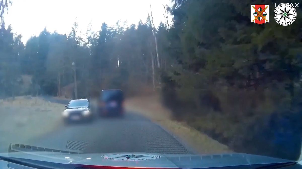 Zdrogovaný řidič ujížděl na Děčínsku před policií, vypátral ho služební pes