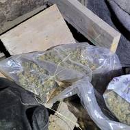 Celníci a policisti zabavili drogy i nelegálně držené zbraně. 