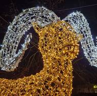 Hasskově zahradě dominuje velký muflon. 