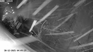 Hromy a blesky. V Česku se v noci objevily neobvyklé sněhové bouřky