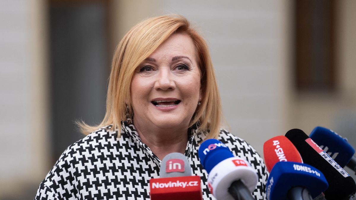 ANO v Brně vyrazilo 10 členů. Divadlo, měli nám spíš poděkovat, zlobí se vyloučení