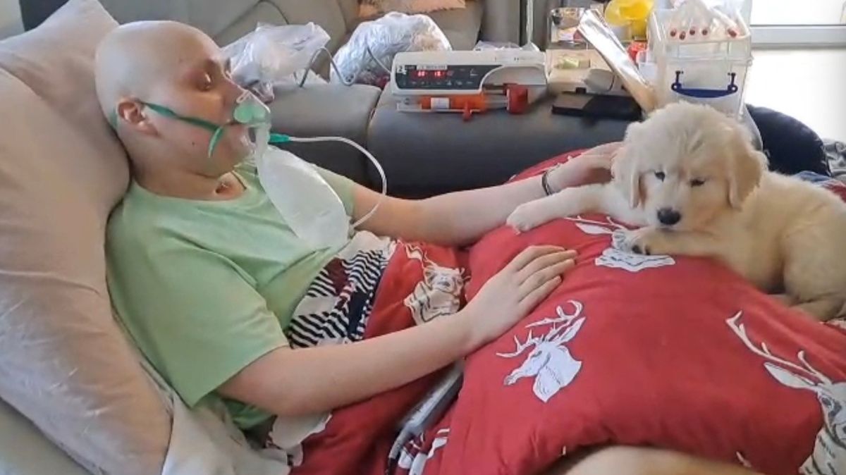 Nemocný chlapec si přál vidět babičku a mít štěně. Když ho dostal, další den vydechl naposledy