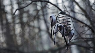 Zima se odkládá. Dorazí neobvykle teplé počasí