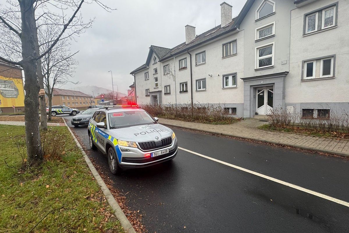 Policie objevila v bytě v Klášterci nad Ohří zbraně a munici, obyvatele domu evakuovala