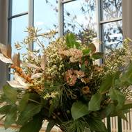 Flora Pragensis 2025