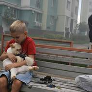 Roman, sedmiletý ukrajinský chlapec, uklidňuje svého kocoura poté, co byl jejich dům v Charkově poškozen ruskou klouzavou bombou. 24. července 2025.