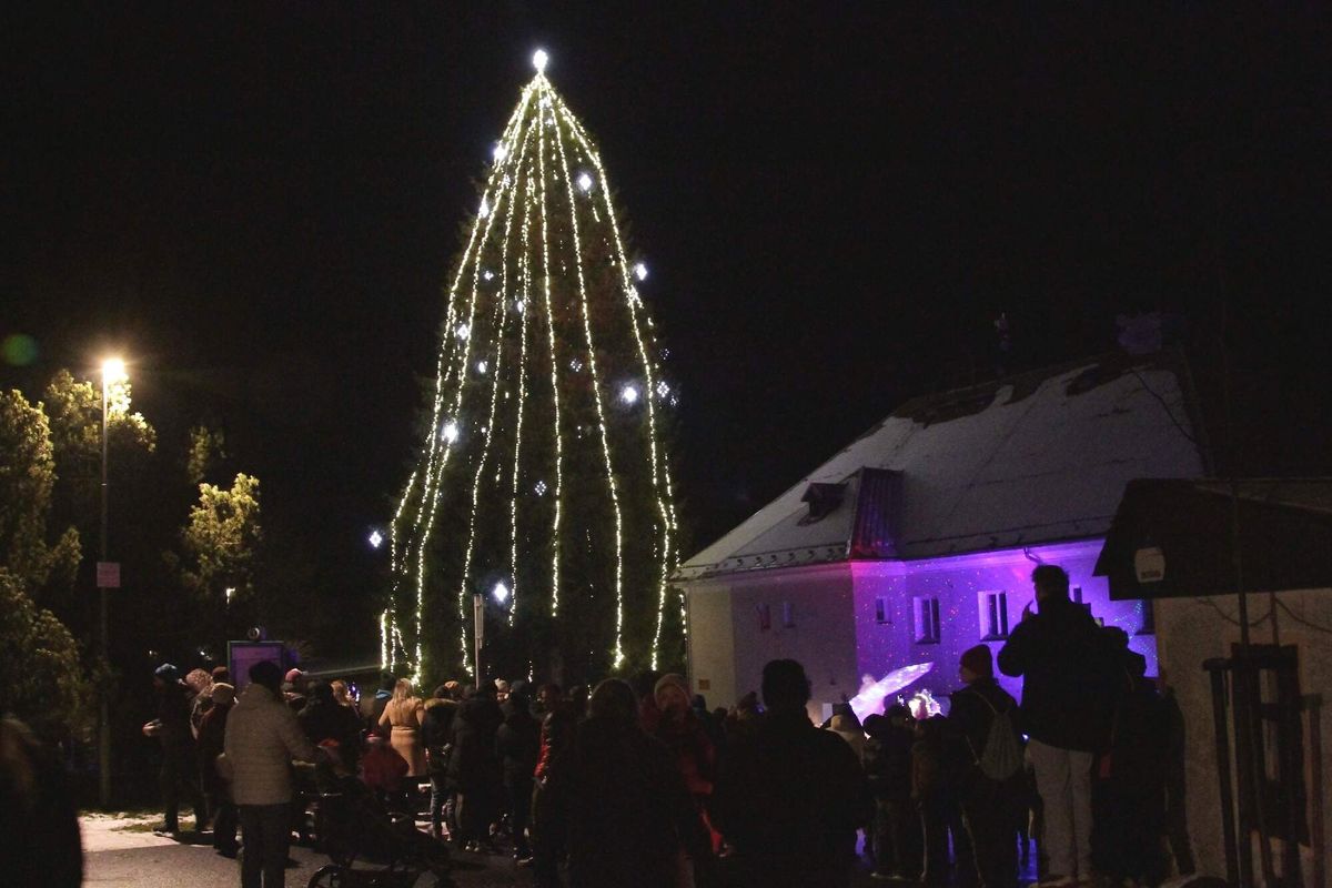 Nejvyšší vánoční strom roste ve vsi na Prachaticku. Na zdobení musela přijet jiná plošina