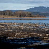 Rakovská zátoka patří mezi klidové zóny s omezeným režimem, aby byla chráněna místní fauna a zachován přírodní ráz lokality.