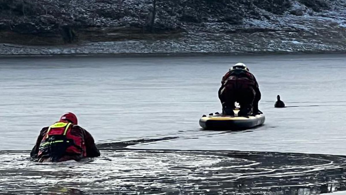 Hasiči v Jablonci zachraňovali z paddleboardu kachnu, která přimrzla k ledu